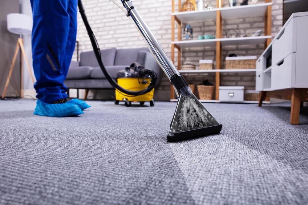 Swift Property Services — Cleaning Services in Hamilton