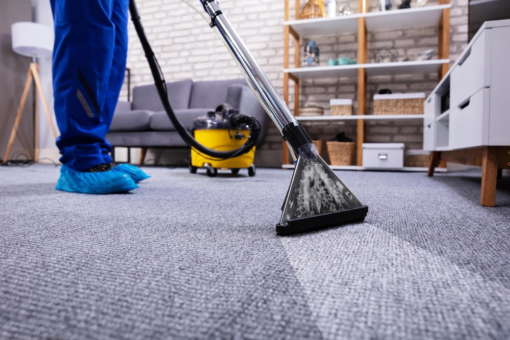 Swift Property Services — Cleaning Services in Hamilton