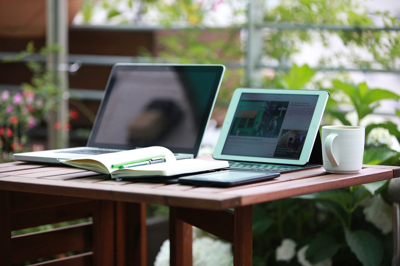 TNZ Web Solutions — Digital Platforms in Tauranga