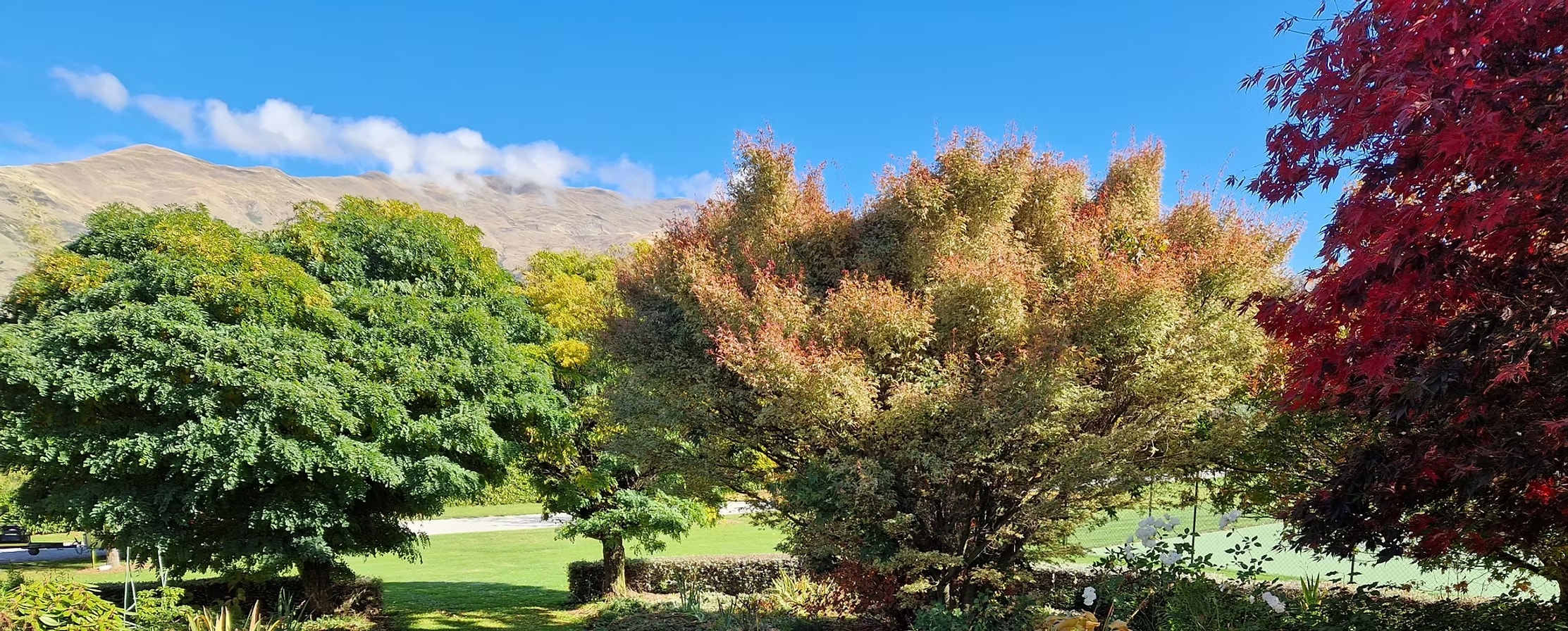 Perianth Garden Services — Landscaping Services in Wānaka
