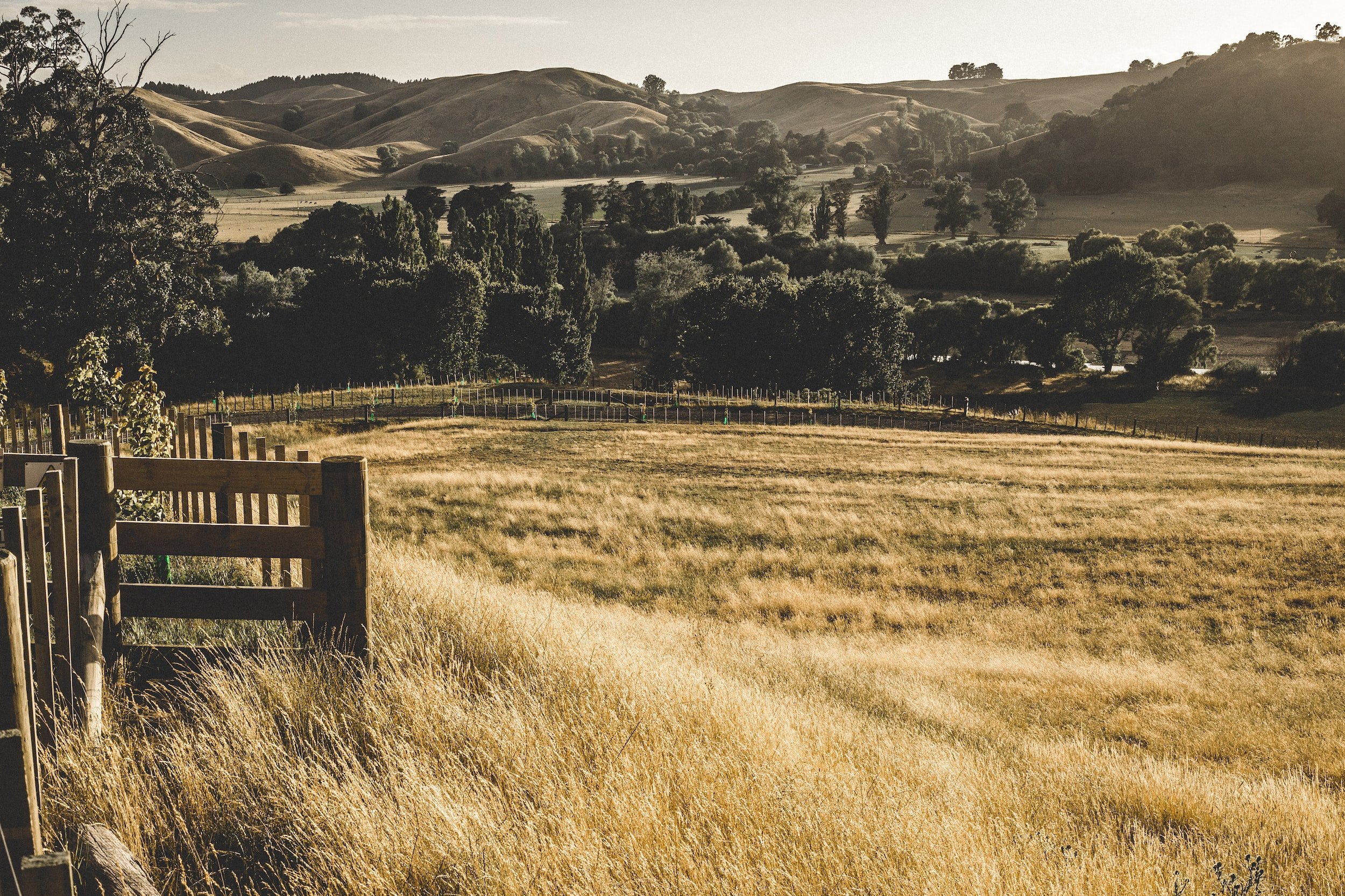 Swarbricks — Legal Services in Te Awamutu
