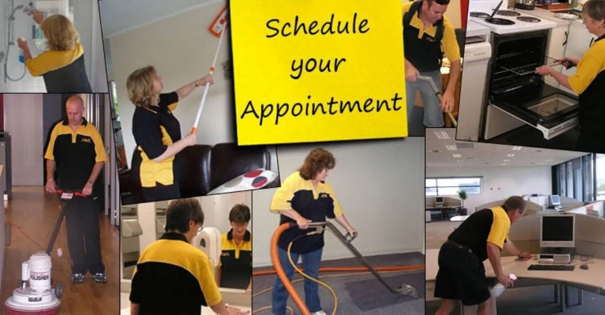 Busy Bees Cleaning — Cleaning Services in Auckland