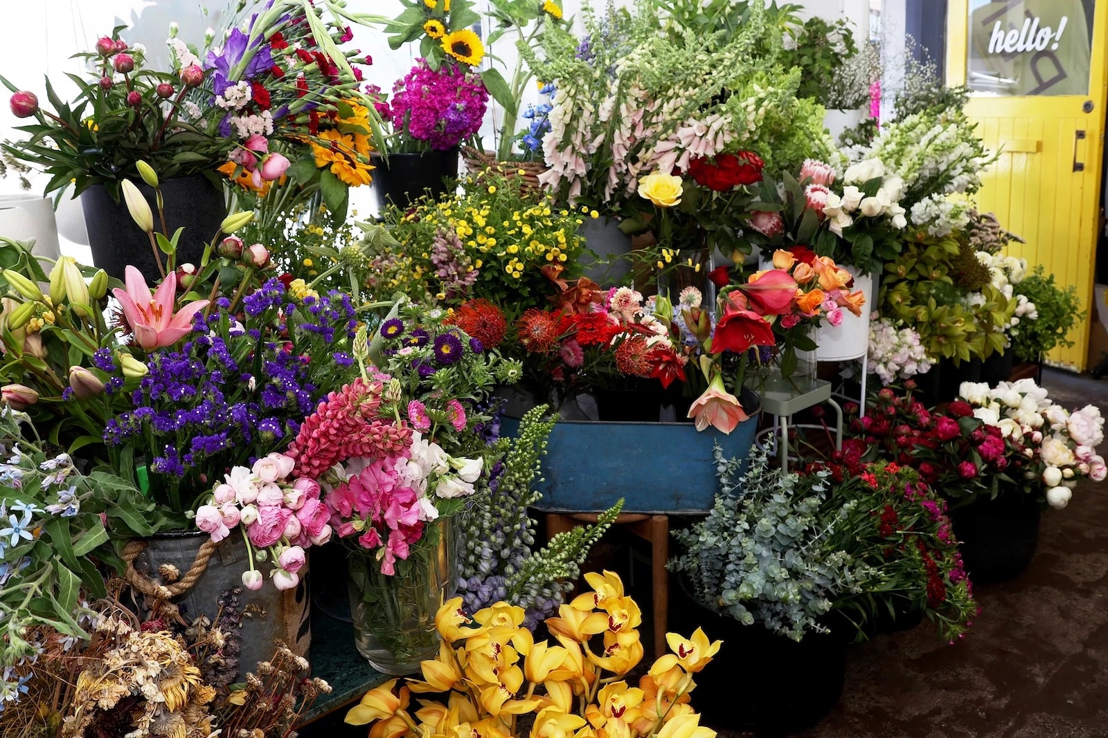 Fallow & Fox — Gift Shops in Dunedin