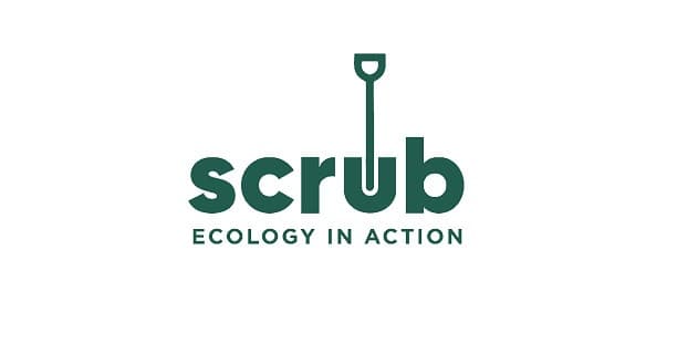 Scrub Ecology In Action — Childcare Centres in Wainui