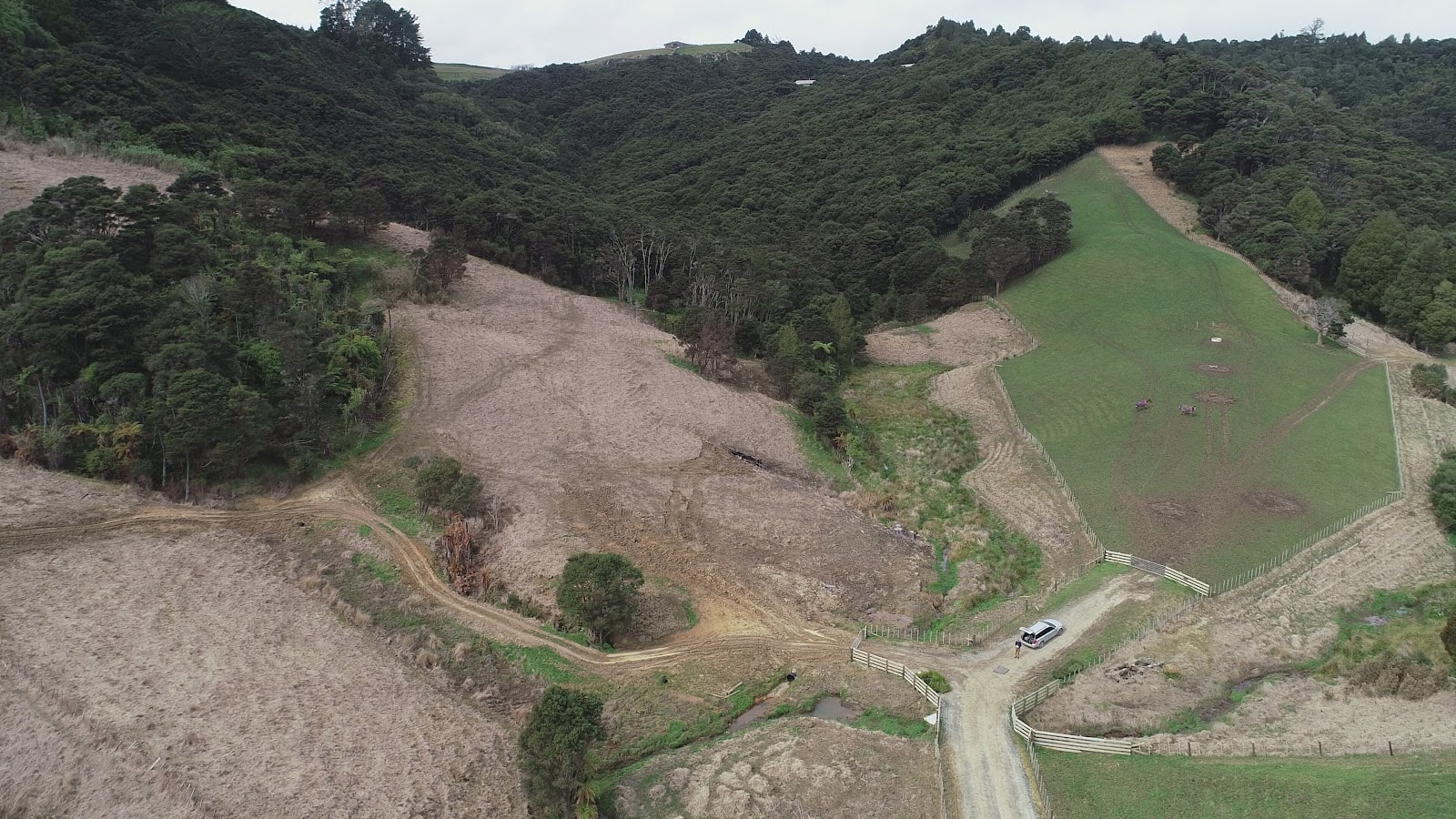 Scrub Ecology In Action — Childcare Centres in Wainui
