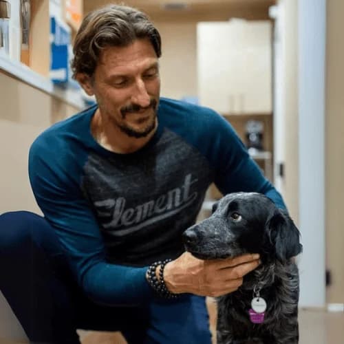 The Dog Dude