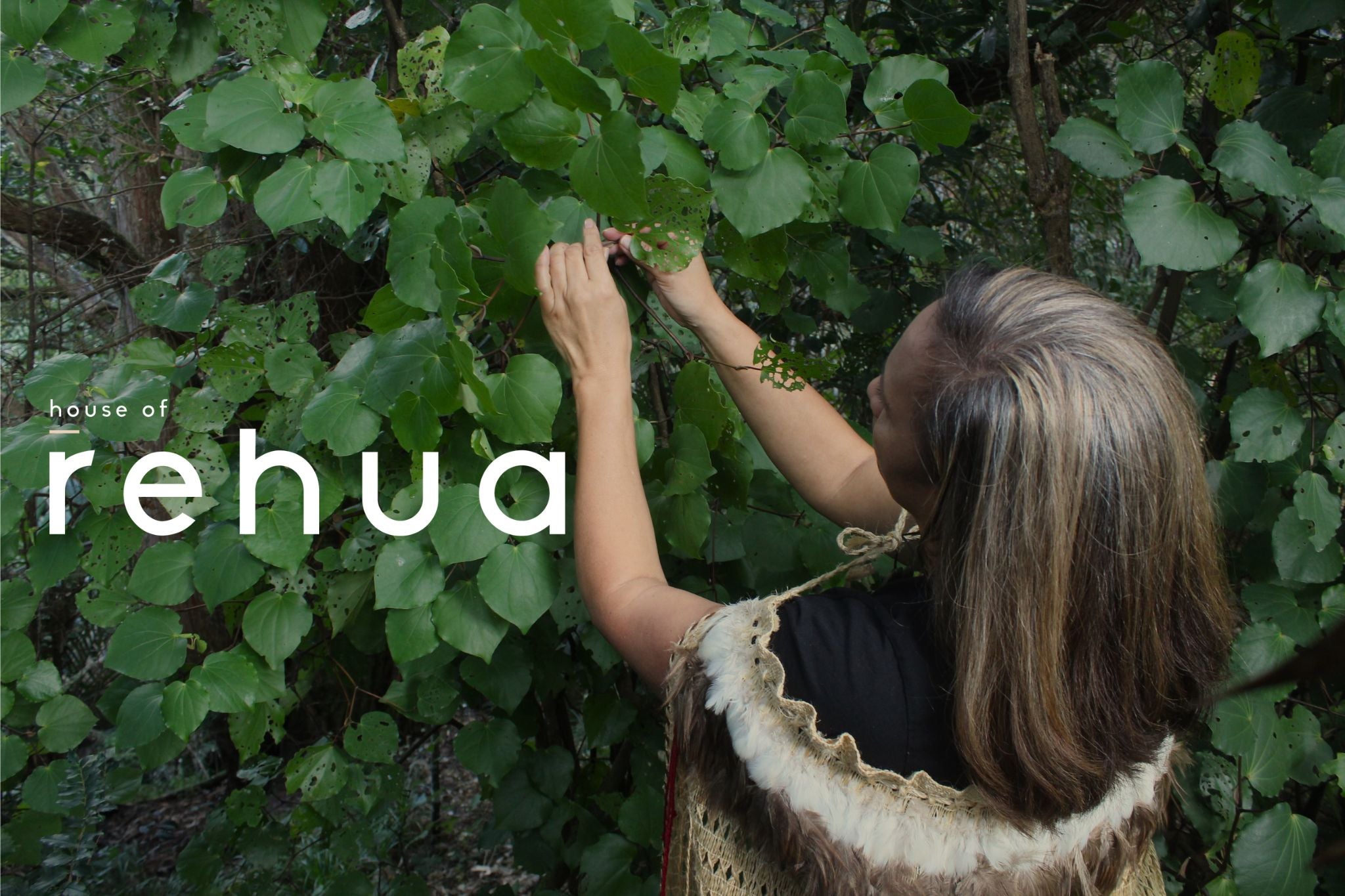 House of Rehua — Health & Wellness in Mangōnui