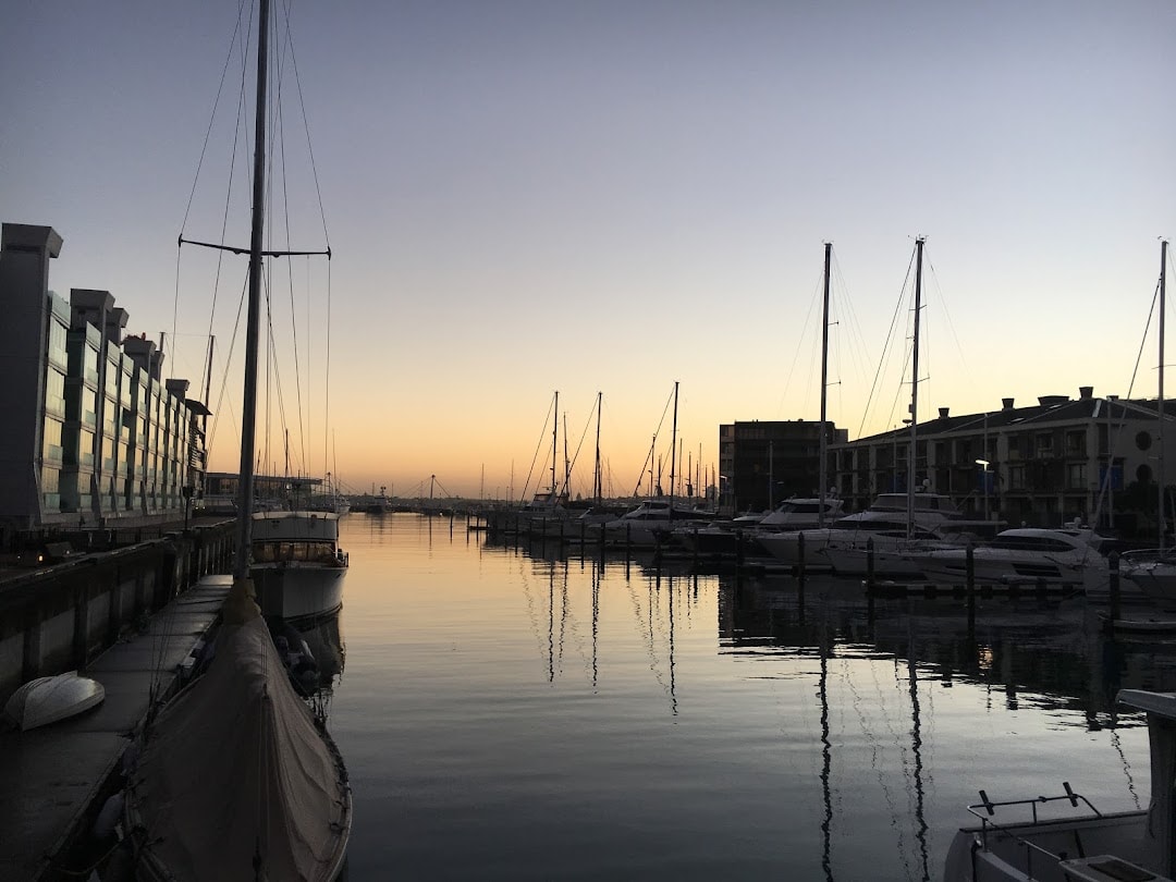 Auckland City Physio — Physiotherapists in Auckland