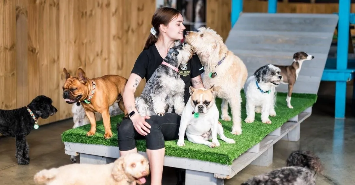 Metro Paws — Dog Groomers in Hamilton