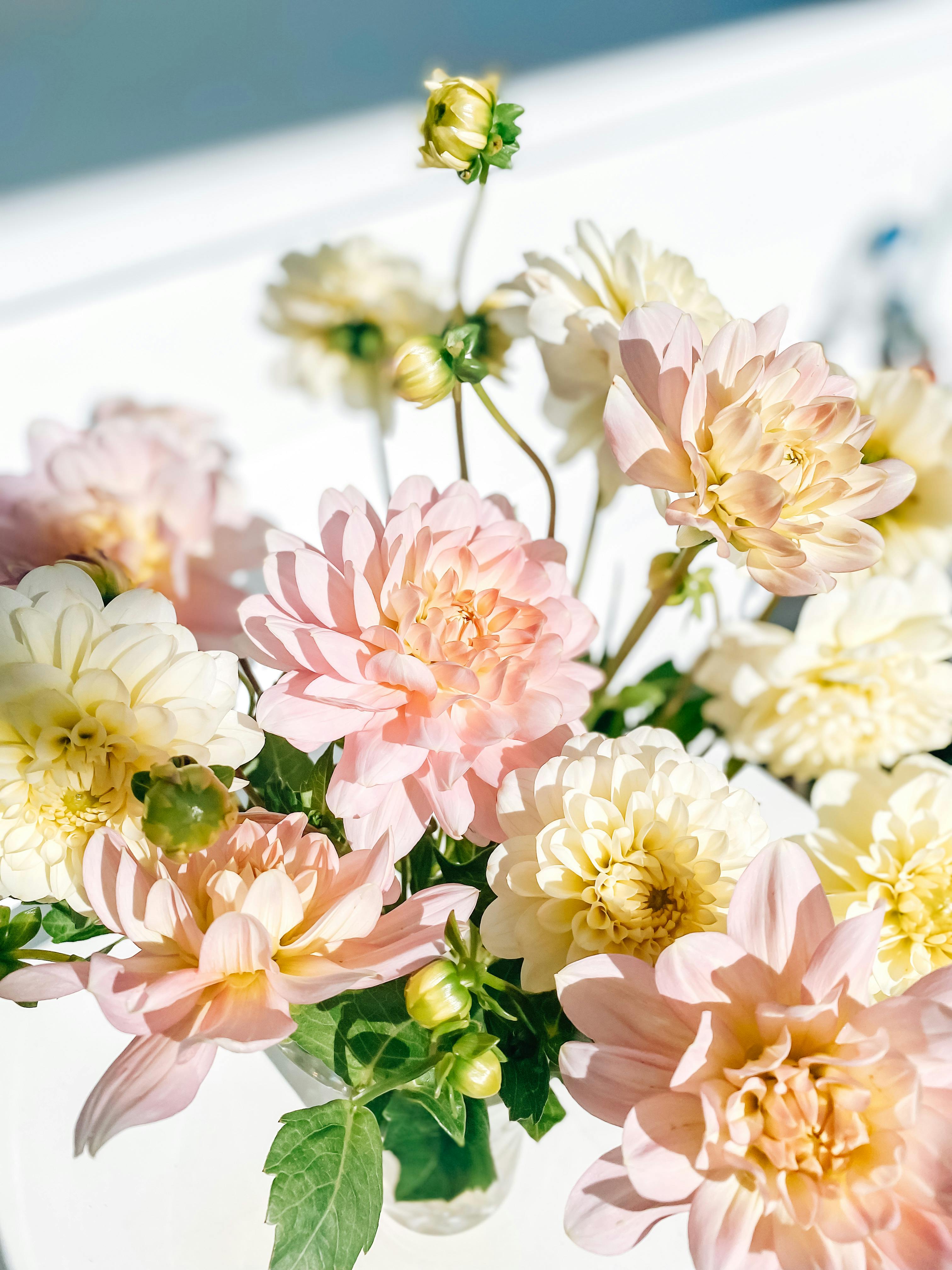 The Flower Delivery Company — Florists in Auckland