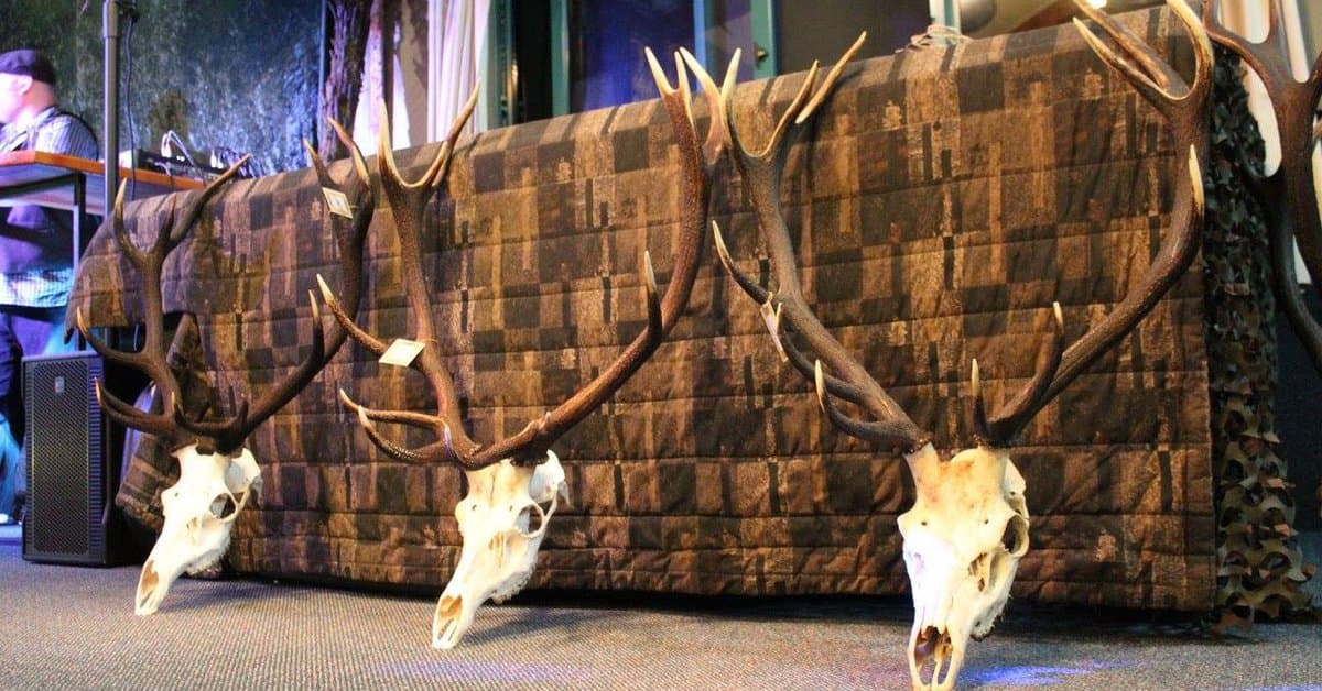 Hard Antler Bar and Restaurant — Restaurants in Haast