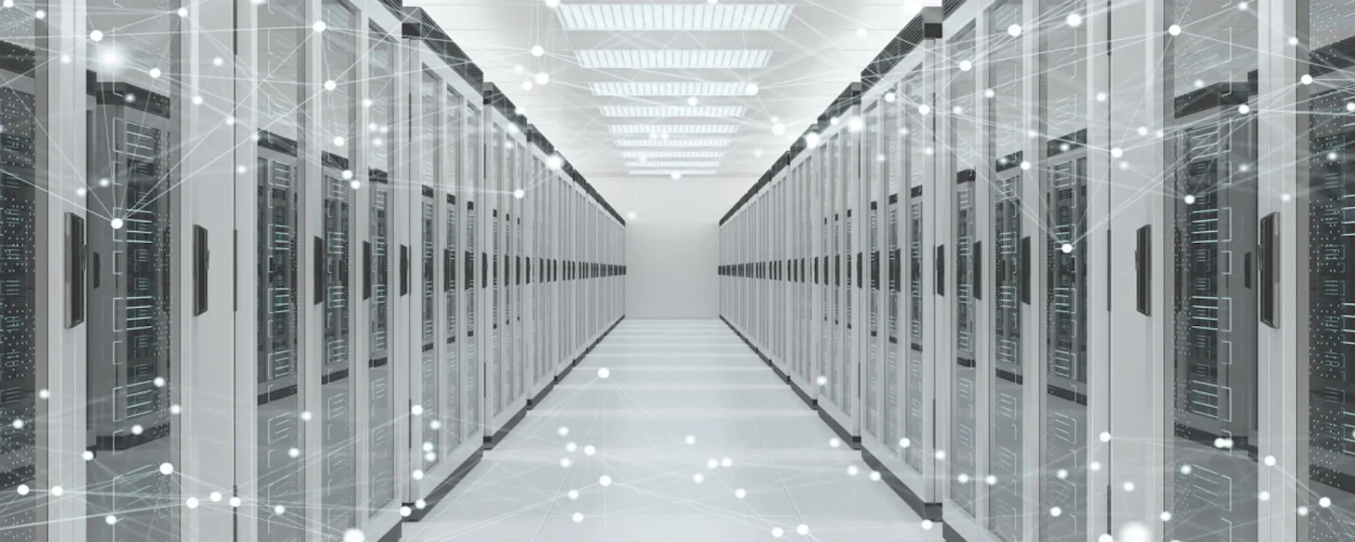 Go Forward — Web Hosting Services in New Plymouth