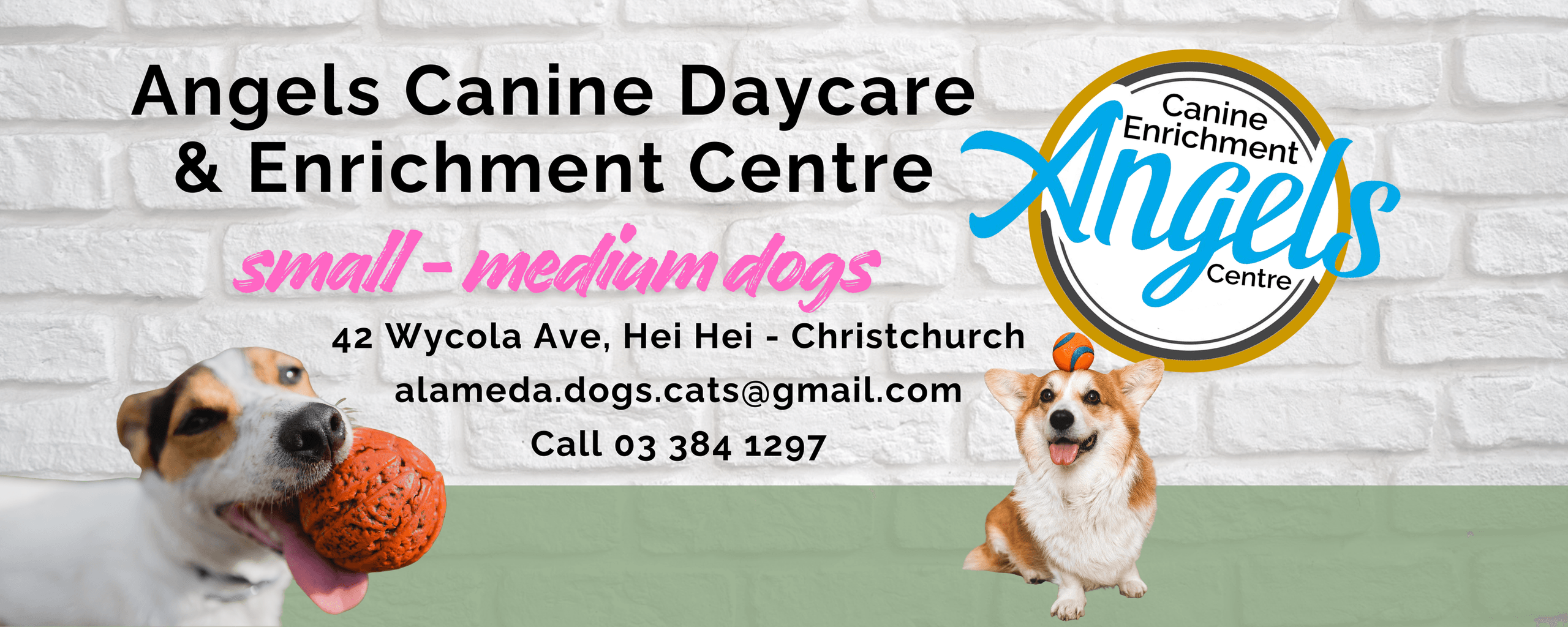 Angels Canine Enrichment Centre & Dog Daycare — Dog Groomers in Christchurch