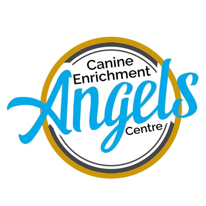 Angels Canine Enrichment Centre & Dog Daycare