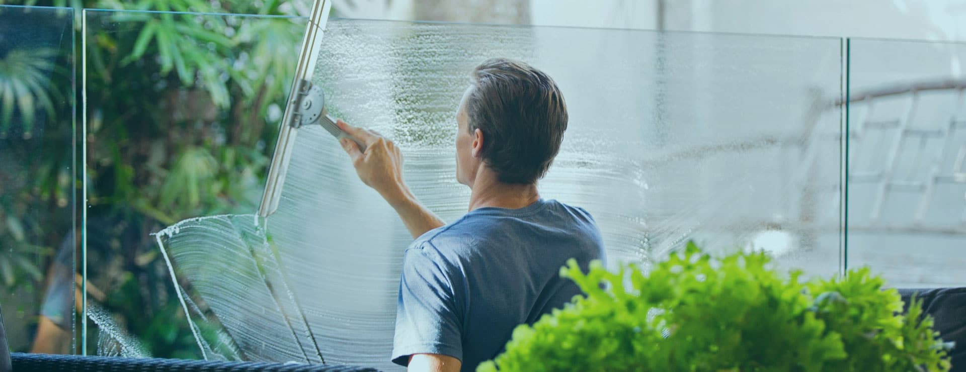 Property Services Unlimited (PSU) — Pest Control Services in Tauranga