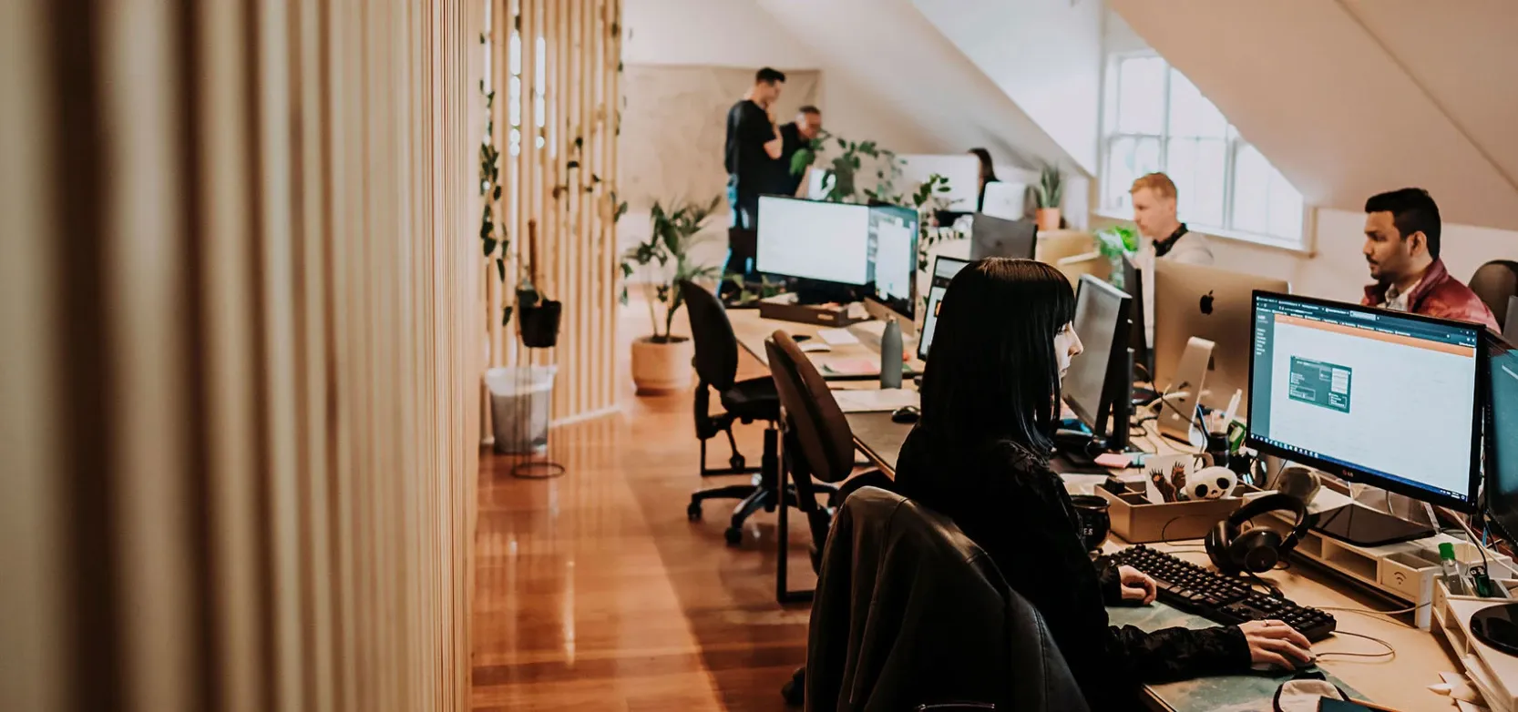 Online Designs Limited — Website Designers in Whangārei