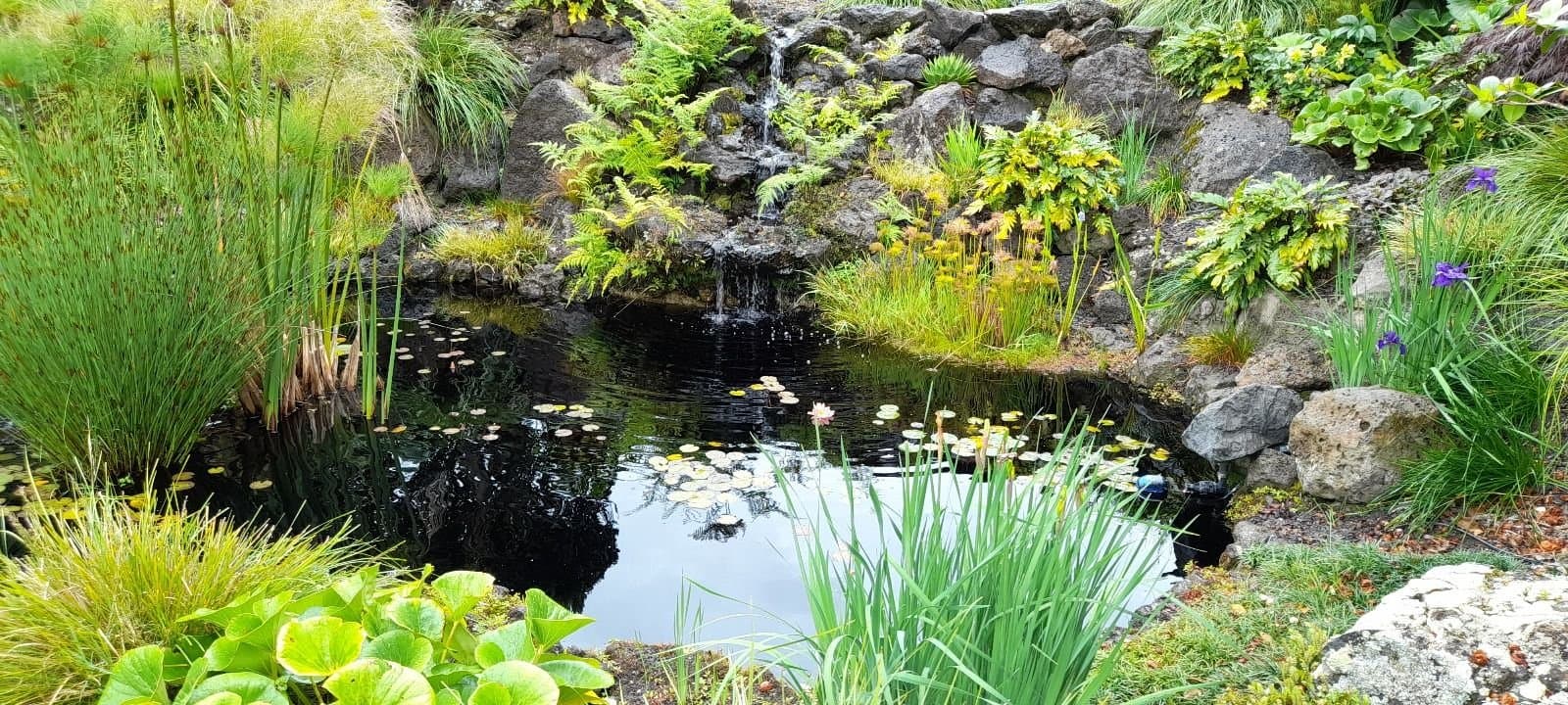 Ace Landscapes — Landscaping Services in Ramarama