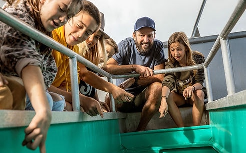 Goat Island NZ Glass Bottom Boat — Travel & Tourism in Leigh