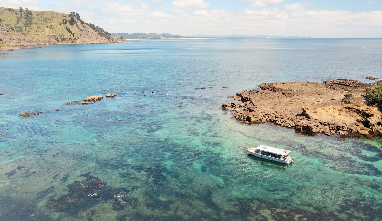 Goat Island NZ Glass Bottom Boat — Travel & Tourism in Leigh