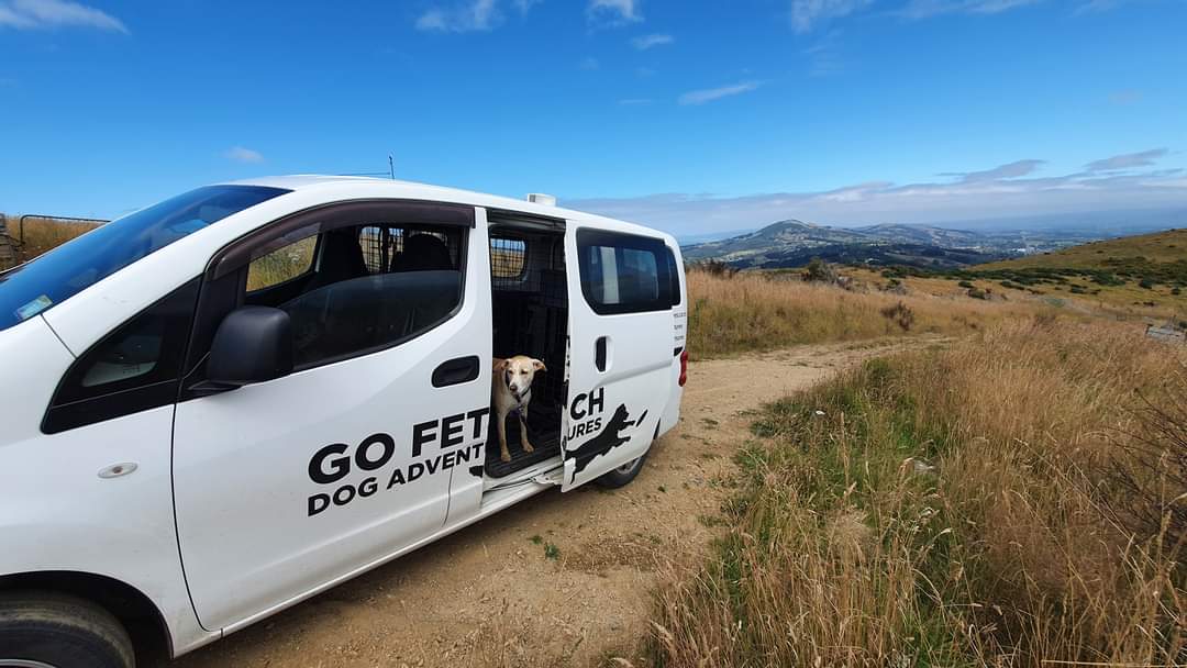 Go Fetch Dog Adventures — Pet Stores in Dunedin