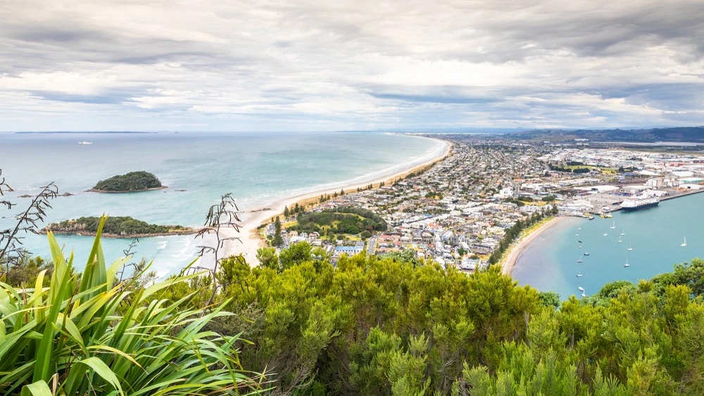 PKF Tauranga — Accountants in Tauranga