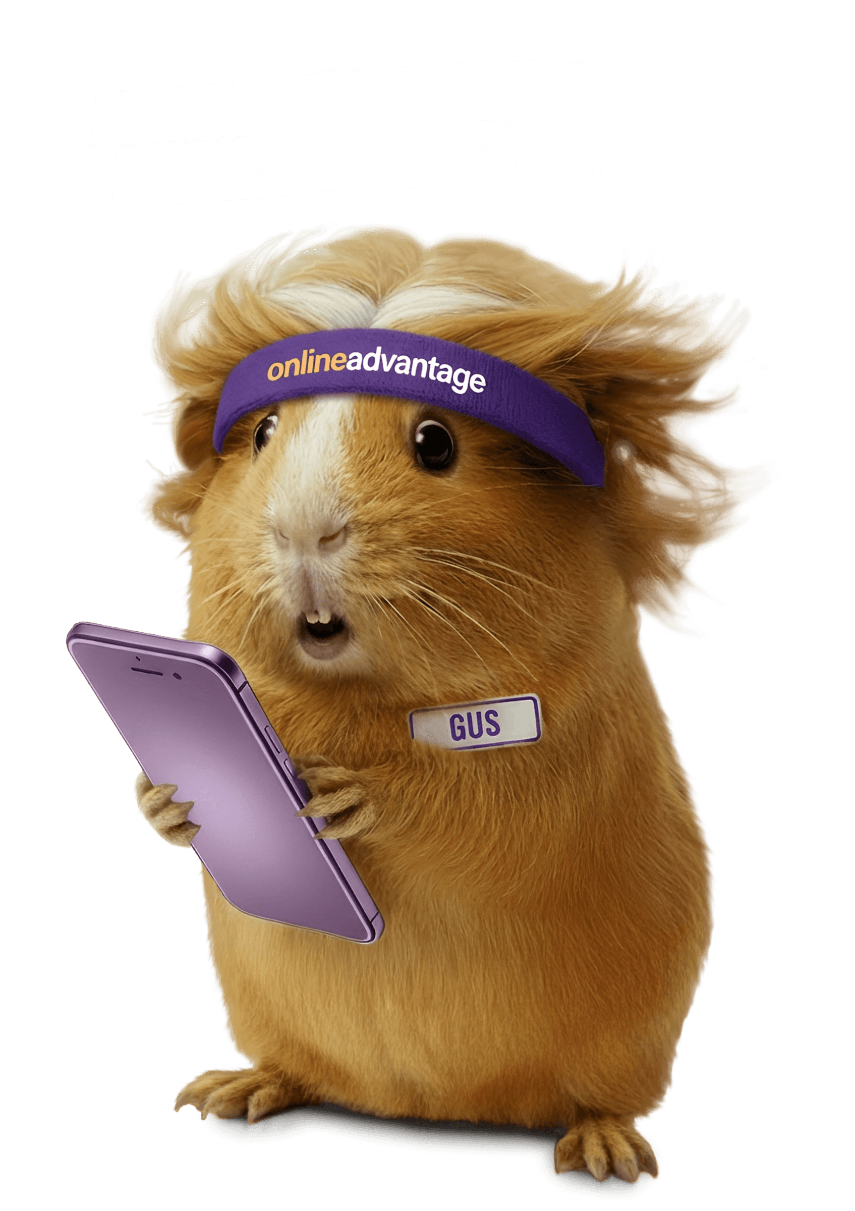 Online Advantage — Digital Marketing Agencies in Hamilton