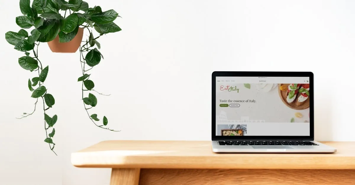 Mergodon — Digital Marketing Agencies in Nelson