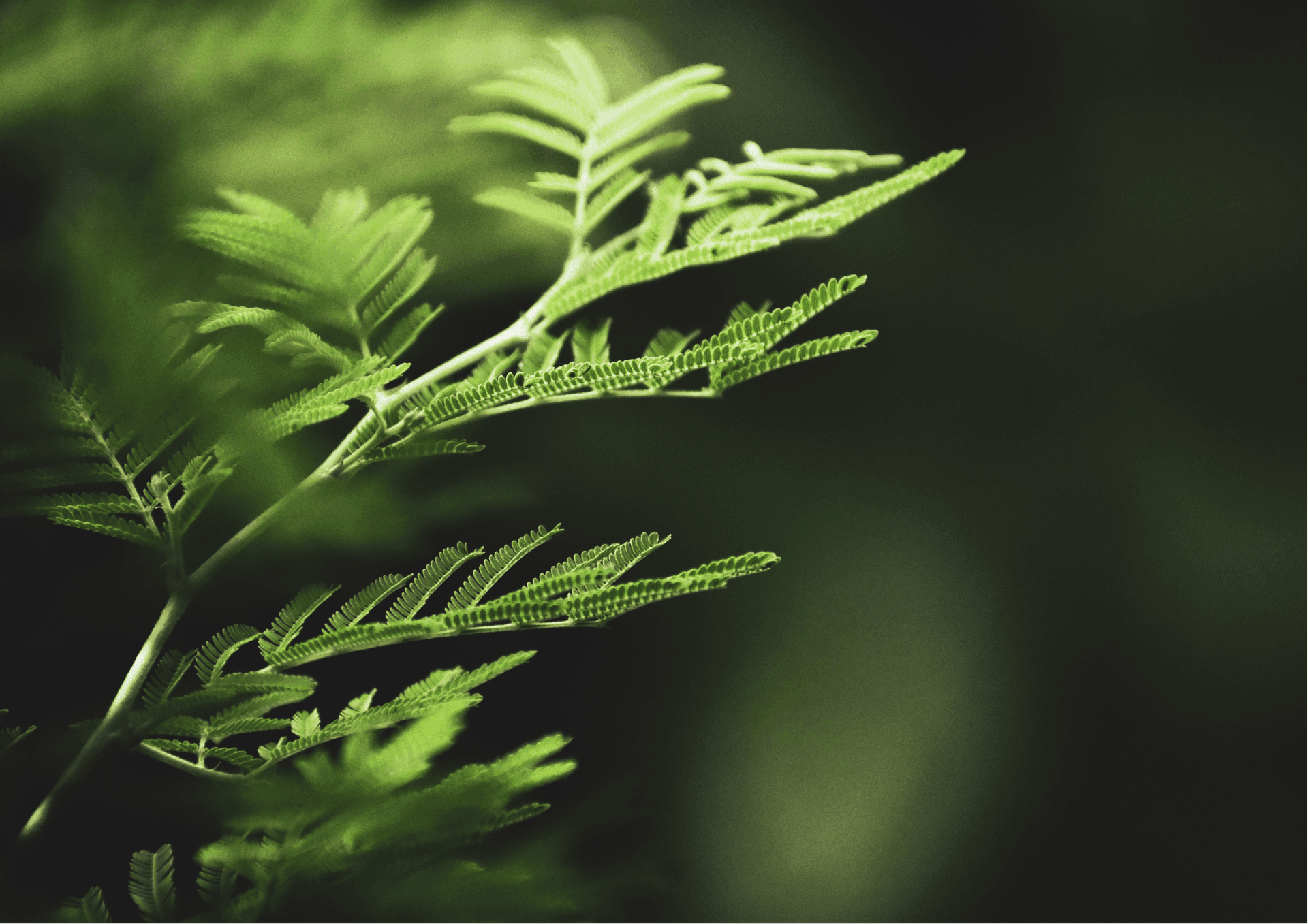 GardenWorx — Gardening Services in Christchurch