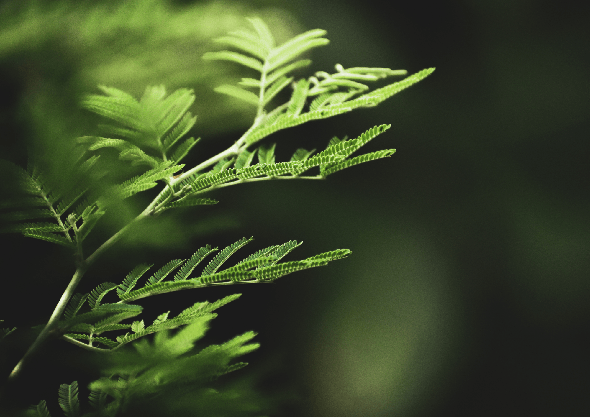 GardenWorx — Gardening Services in Christchurch