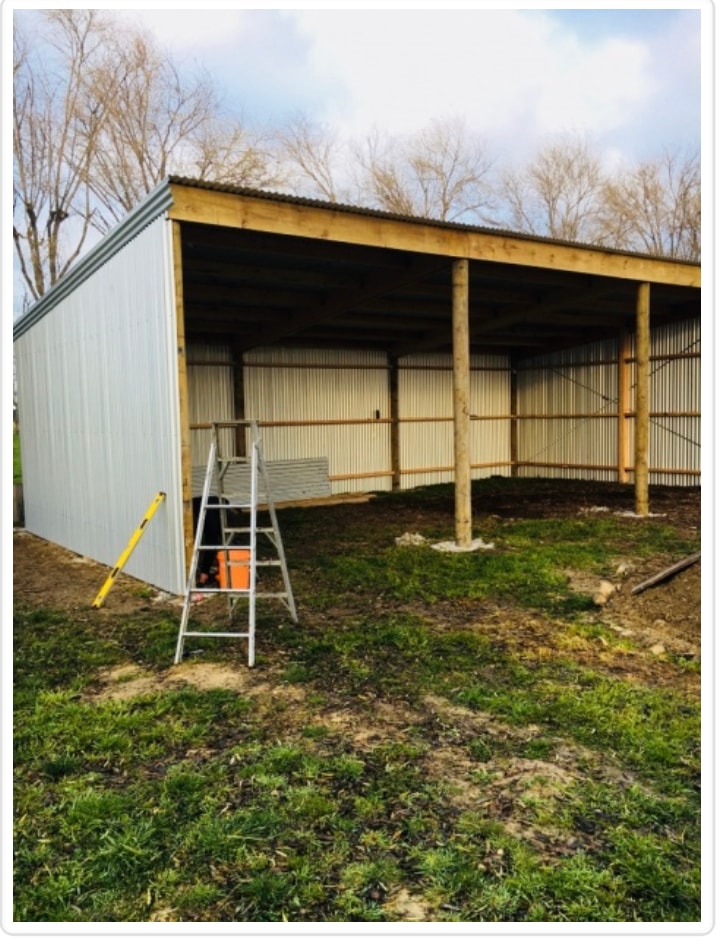 S C Building — Professional Services in Dunedin