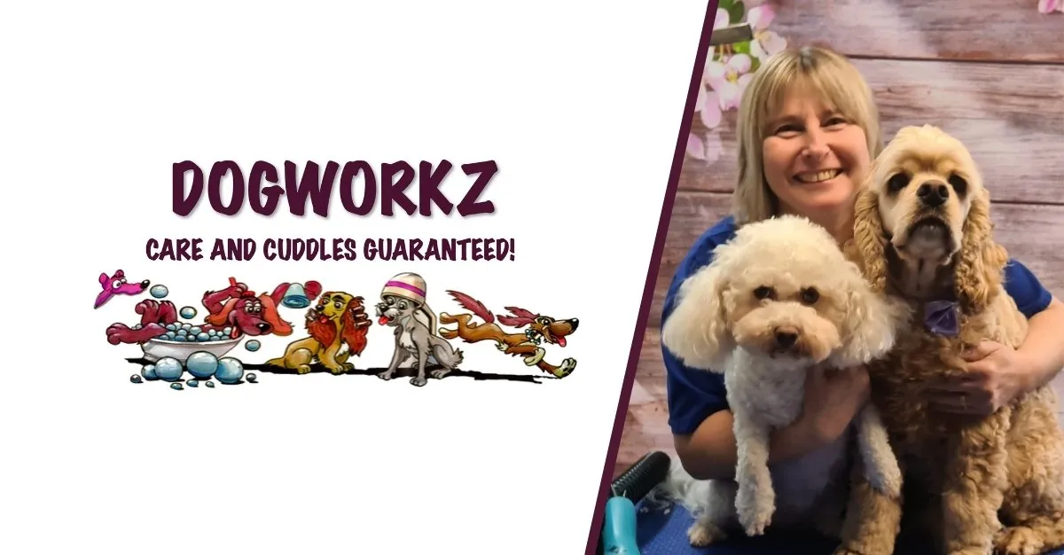 Dogworkz Pokeno — Dog Groomers in Pōkeno