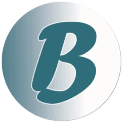 Bay Web Design