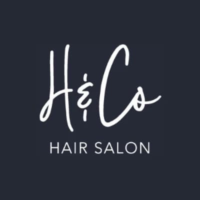 H & Co logo