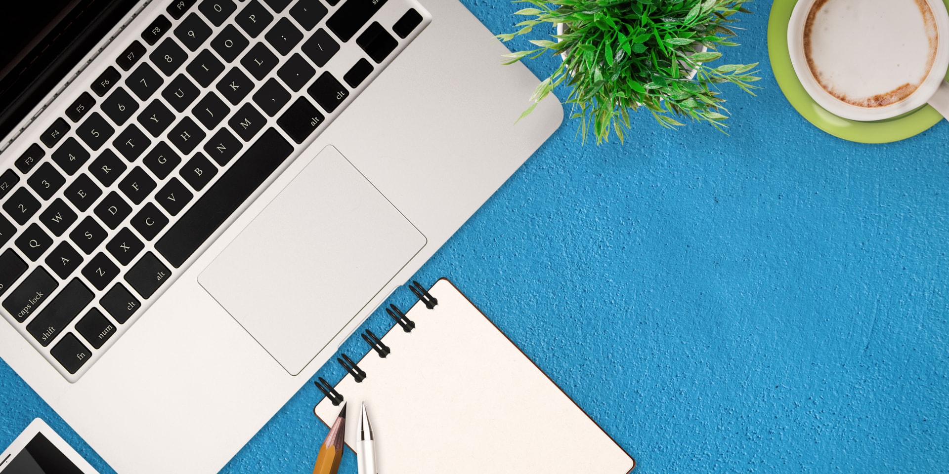 Octopus Admin — Graphic Designers in Auckland