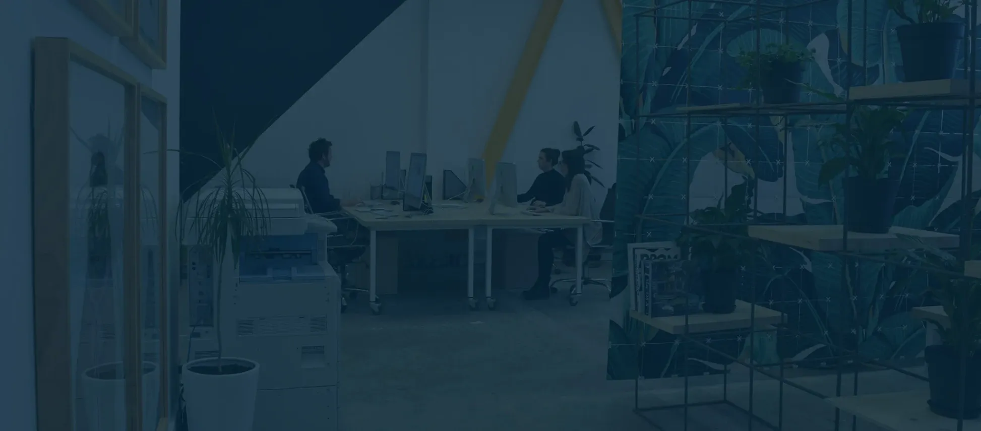 MRD Web + Digital Marketing — Website Designers in Napier