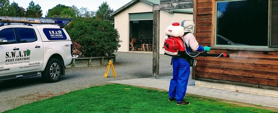 SWAT Pest Control — Pest Control Services in Hamilton
