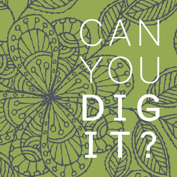 Can You Dig It — Landscaping Services in Māpua