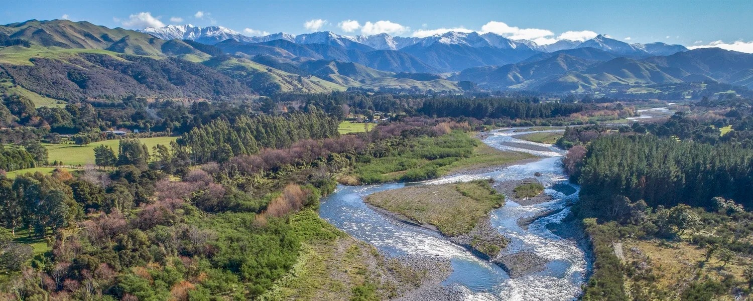 Wairarapa Property Consultants — Real Estate Agents in Masterton