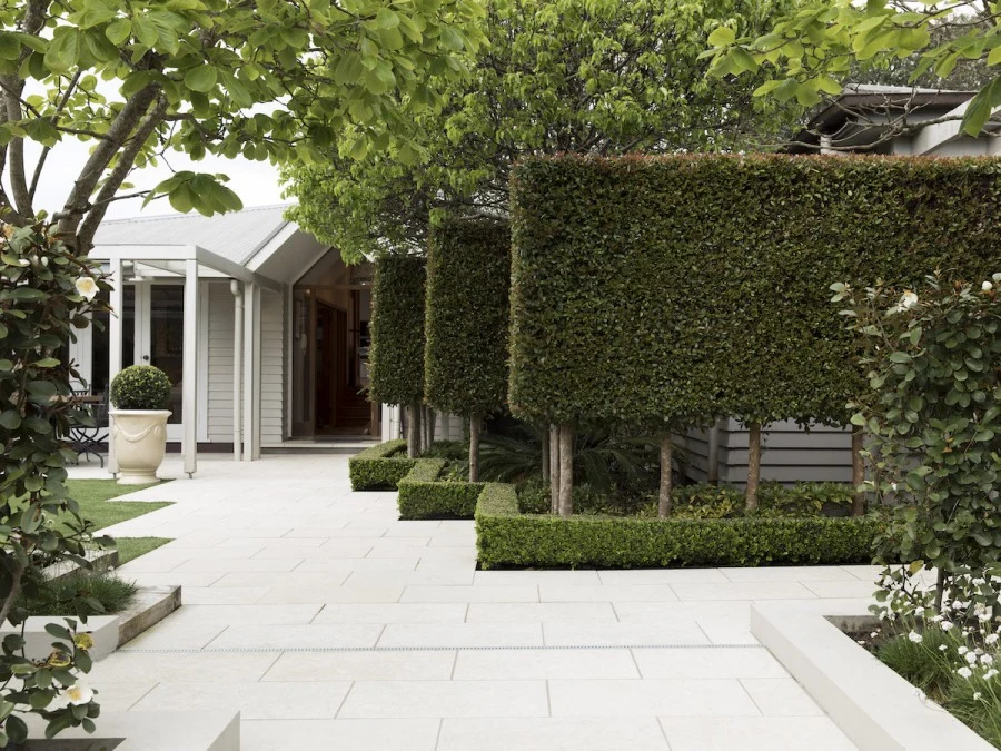 Branché Landscapes — Landscaping Services in Auckland