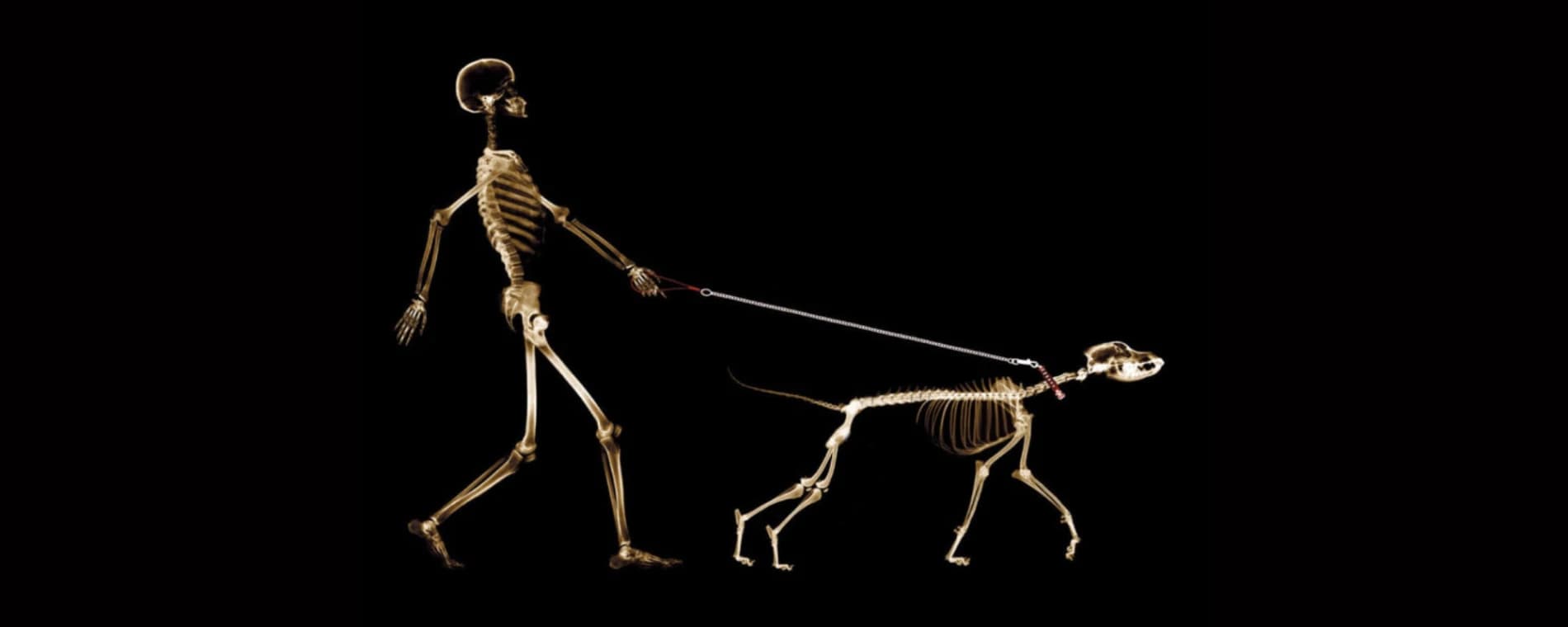 KAMA CHIRO