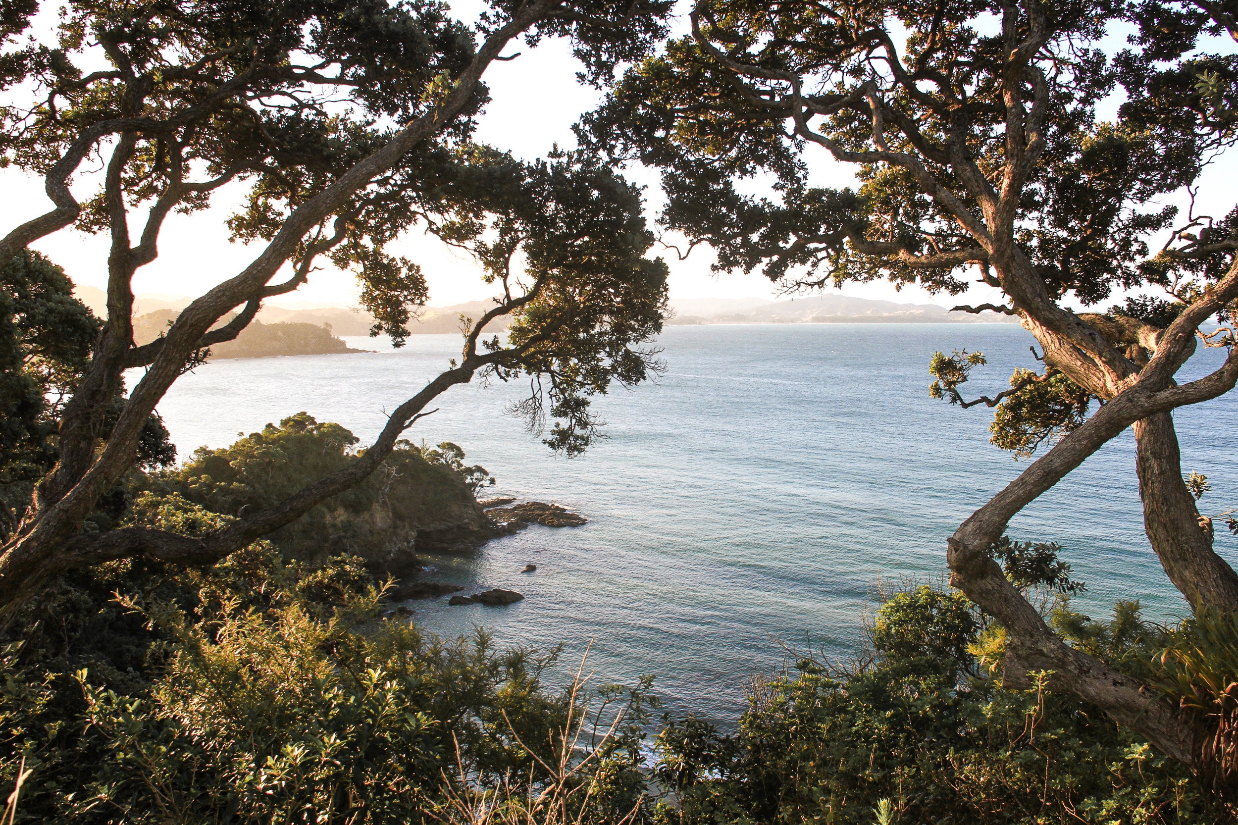 Landform Consulting — Architectural Designers in New Zealand
