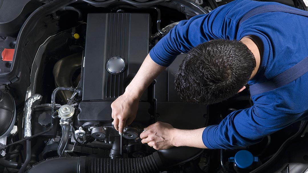 Magoo Auto Dunedin — Mechanics in Dunedin