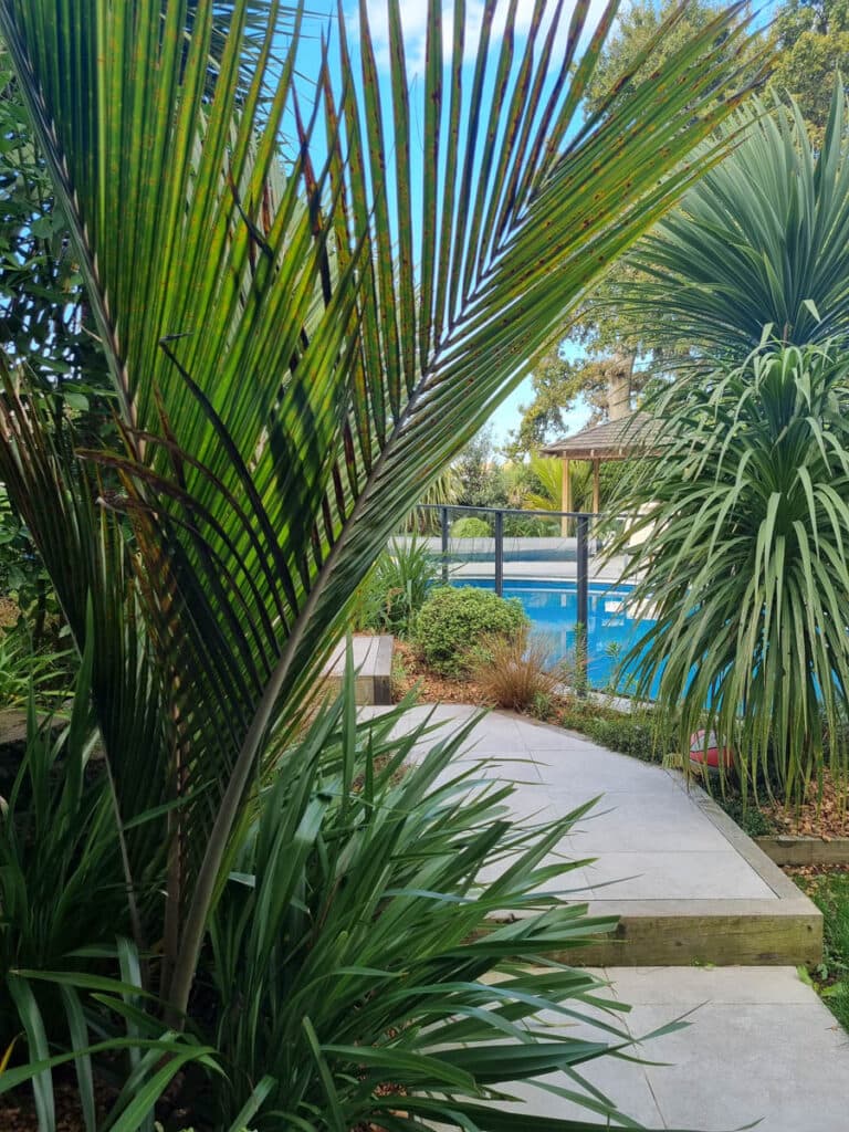 Winfield Landscapes — Landscaping Services in Auckland