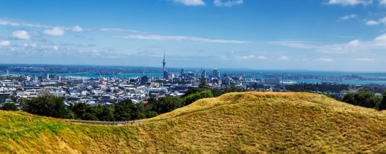 MTF Finance Mt Eden — Financial Services in Mount Eden