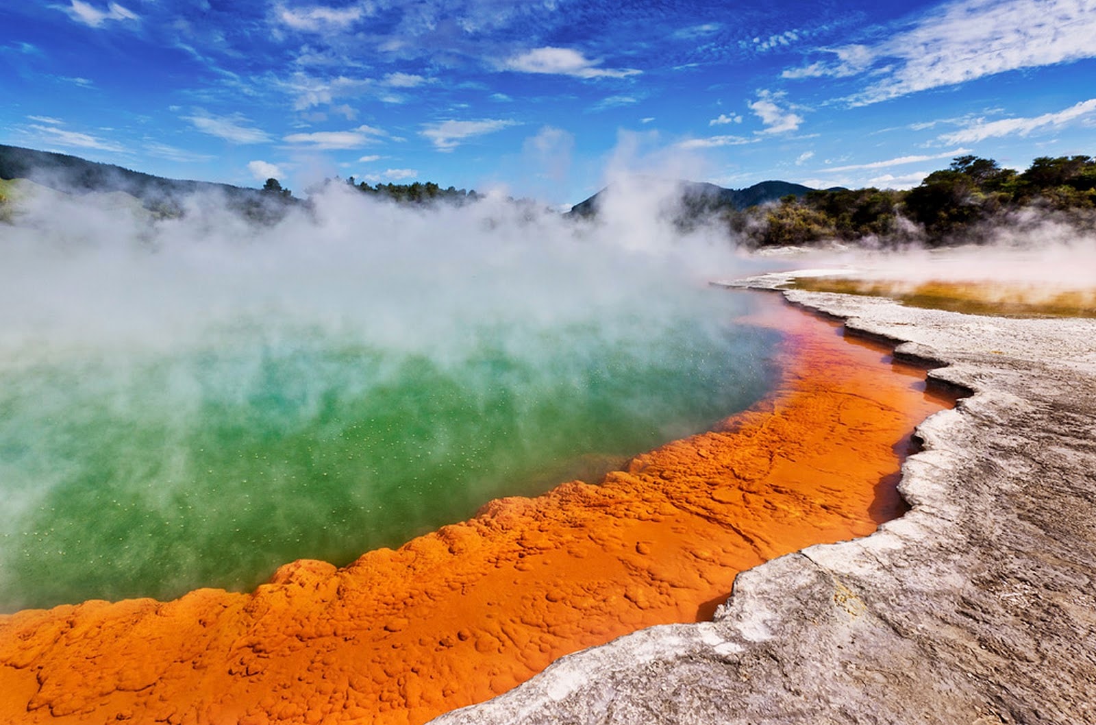 The Mud Run Shuttle — Travel & Tourism in Rotorua