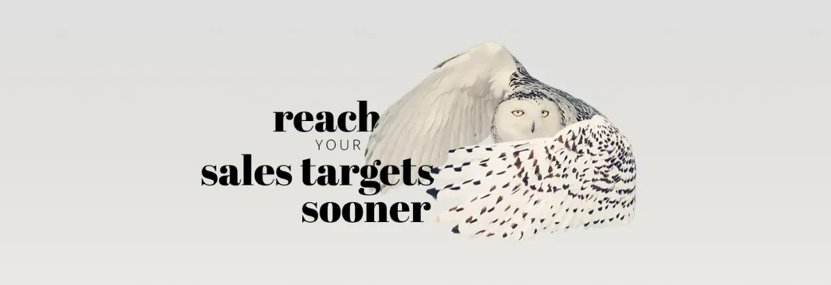 Alexanders Digital Marketing — SEO Services in Christchurch