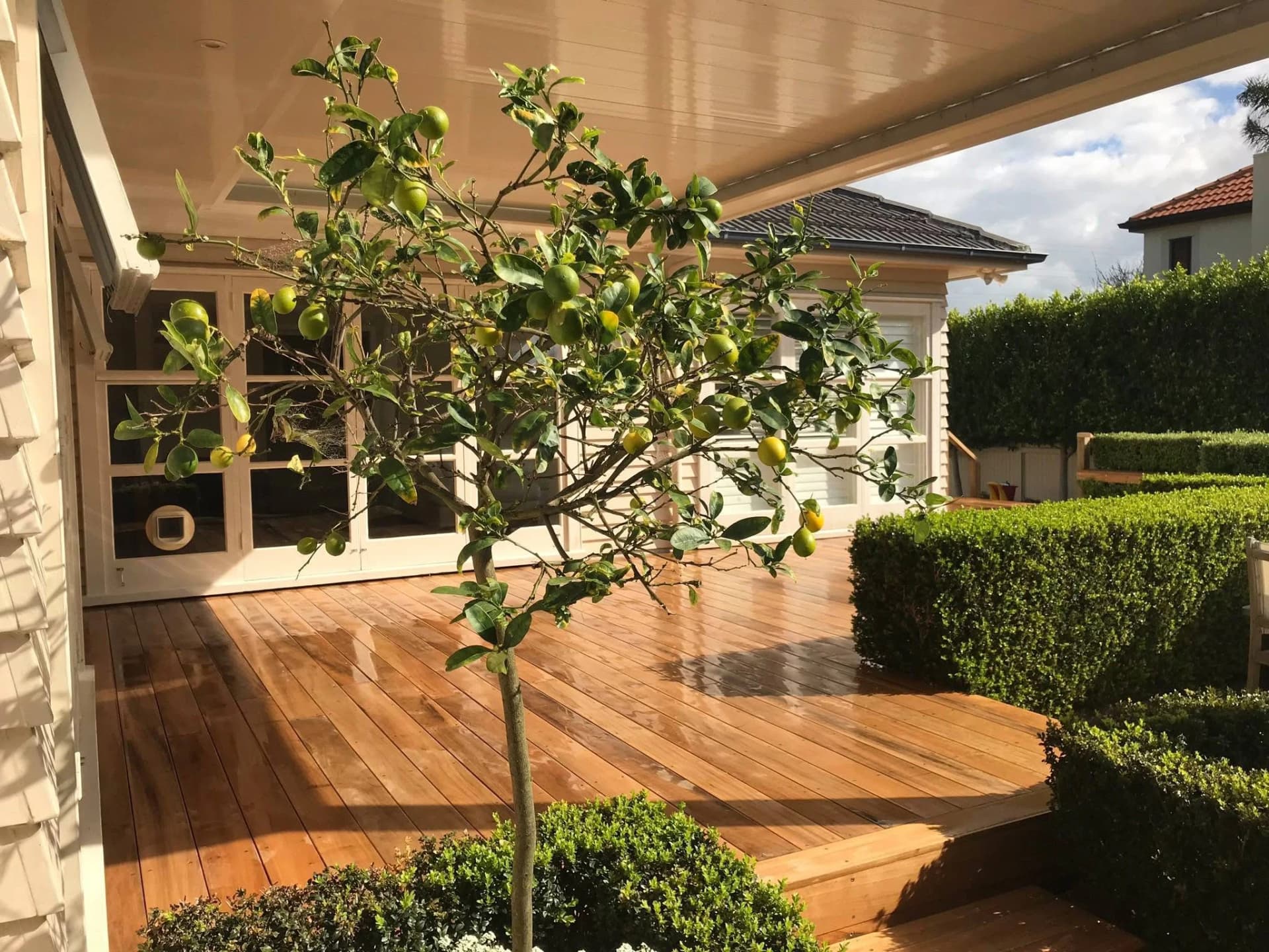 Deckreation Auckland — Builders in Auckland