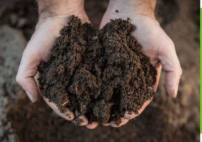 Earthcure Global Ltd — Waste Management in Hamilton