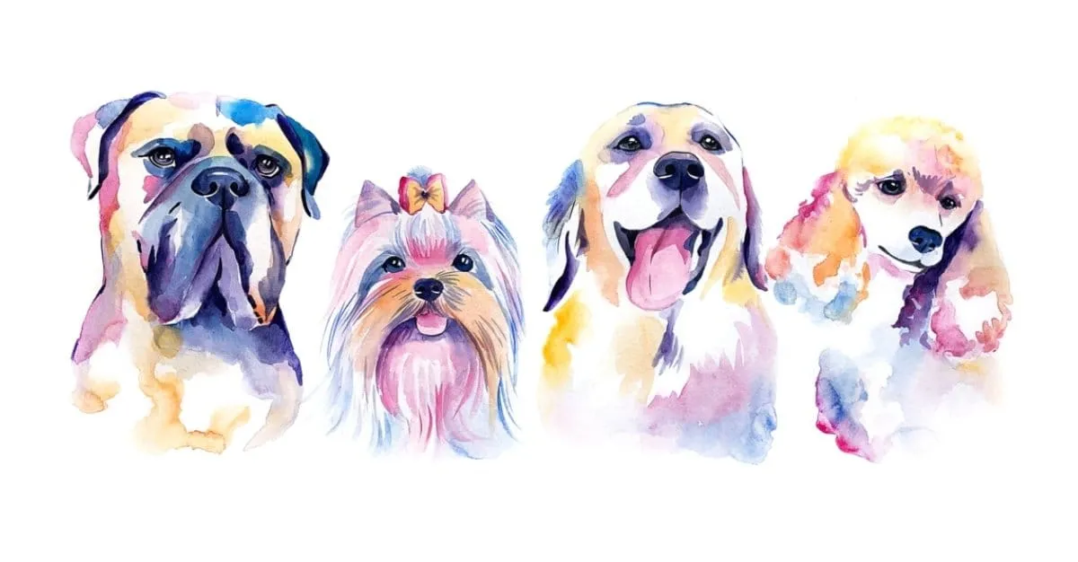 Precious Paws Dog Grooming — Dog Groomers in Whanganui