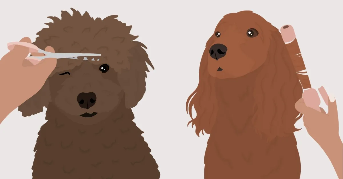 Lush Puppies New Plymouth — Dog Groomers in New Plymouth